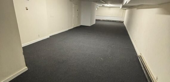 157 Greenpoint Ave, Brooklyn Lower Level