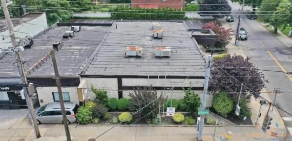 Belmont Park development