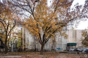 Vacant Land*(Lot) Development*For Residential Build Out*E115*R7-Zoning (Harlem / Morningside)