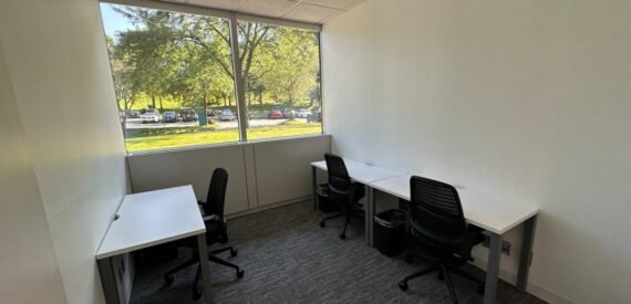 Nature view from Window Office at Regus! (Purchase NY)