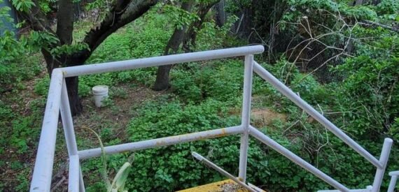 3BR – Renovated Apartment with Backyard Access | Tenant Pays Electric &amp; Gas (Brownsville)
