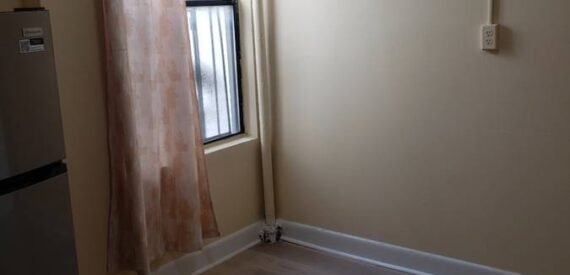Spacious Renovated 1-Bedroom Apartment | Tenant Pays Electric Only (East Flatbush)