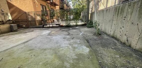 Versatile 800 Sq Ft Storefront/Office with Shared Backyard in Sunnyside, Queens