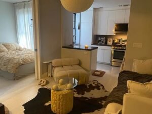 Beautiful Bright No Fee One Bedroom apartment in The Lower East Side of Manhattan