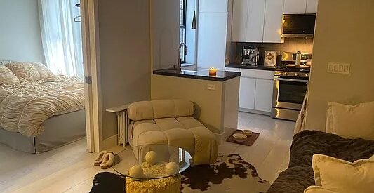 Beautiful Bright No Fee One Bedroom apartment in The Lower East Side of Manhattan