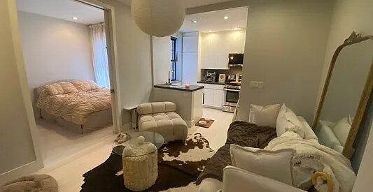 Beautiful Bright No Fee One Bedroom apartment in The Lower East Side of Manhattan