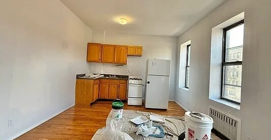 Modern 1BR Apartment in Historic Weeksville – Sunlit, Pet-Friendly, Prime Location
