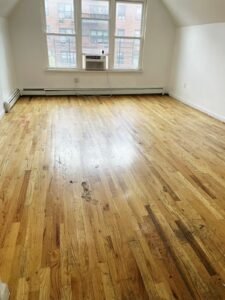 Modern 2.5BR Apartment with Office in Prime Prospect Lefferts Gardens/Flatbush