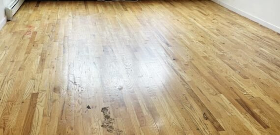 Modern 2.5BR Apartment with Office in Prime Prospect Lefferts Gardens/Flatbush