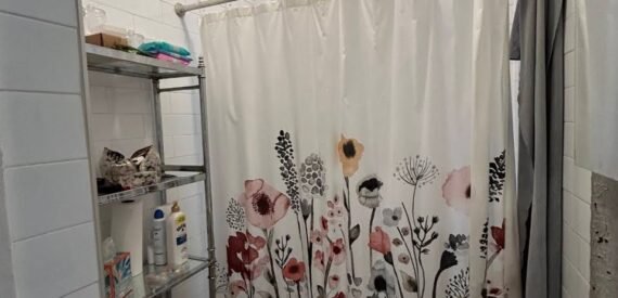 Spacious 2BR Apartment in Bushwick – Furnished, Pet-Friendly, No Broker Fee!