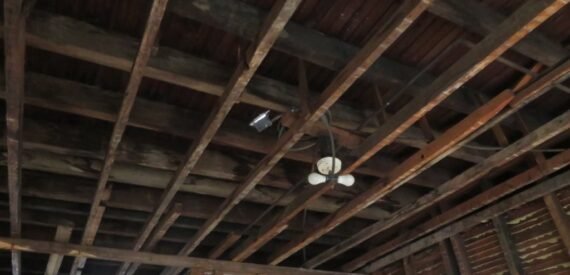 Brick 2-Family Fixer Upper in East New York – Large Backyard &amp; Prime Transit Access