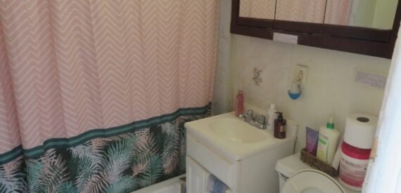 Brick 2-Family Fixer Upper in East New York – Large Backyard &amp; Prime Transit Access