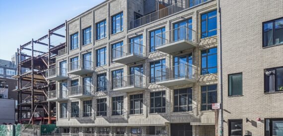 65 Eckford Street: Lower Level Available