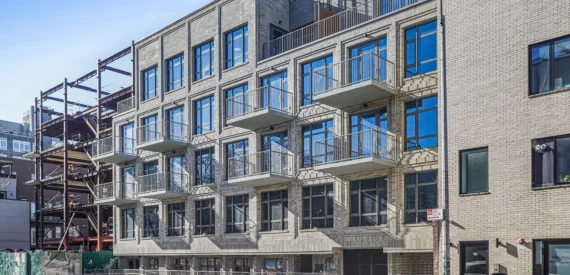 65 Eckford Street: Lower Level Available