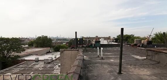 Spacious 3-Bedroom w/ City Views &amp; Roof Deck in Prime Bushwick/East Williamsburg