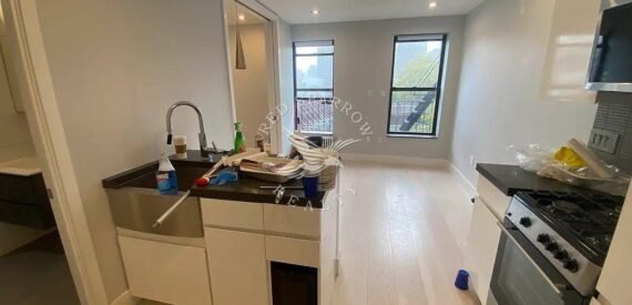 Renovated Bright 1 bedroom Apartment on Stanton Street in the Lower East Side