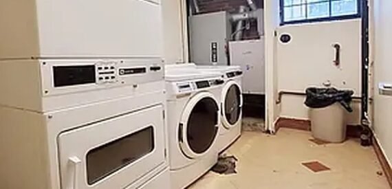 Spacious 700 Sq Ft Studio in Ridgewood – No Broker Fee, Pet Friendly, Prime Location