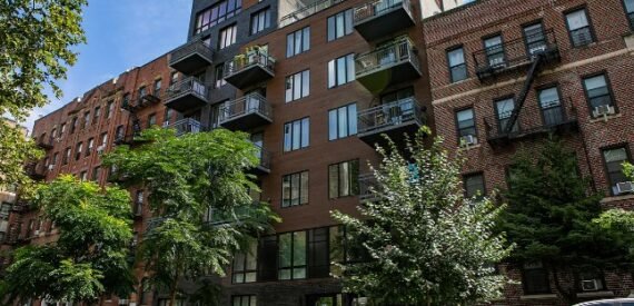 Amazing 1 Bed on East 19th Street in Ditmas Park