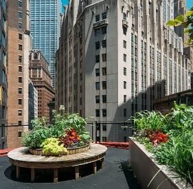 Amazing 3 bed on Beaver Street in Financial District