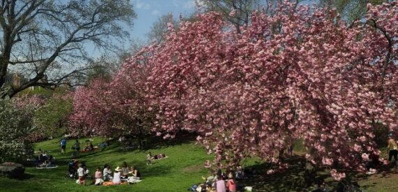 Amazing 1 bed on West 55th Street in Midtown