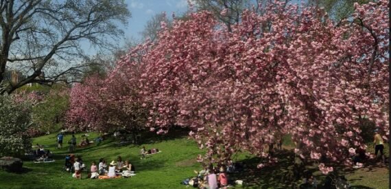 Amazing 1 bed on West 55th Street in Midtown