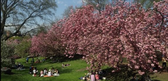 Amazing 1 bed on West 55th Street in Midtown