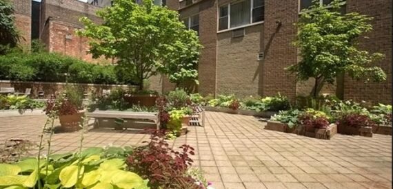 Amazing 1 bed on Elizabeth Street in Noho