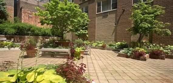 Amazing 1 bed on Elizabeth Street in Noho