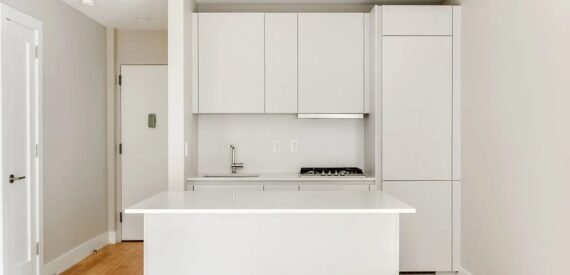 Renovated 1BR in Crown Heights – Elevator, Dishwasher, Pet Friendly, No Broker Fee