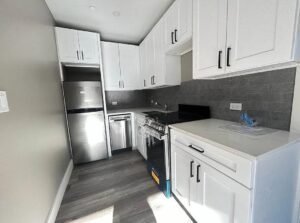 NO FEE! Brand New 2BR w/ In-Unit Laundry &amp; Roof Deck – 2801 Tilden Ave, Flatbush
