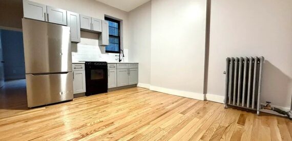NO FEE Modern Apartment in Historic Stuyvesant Heights, Brooklyn