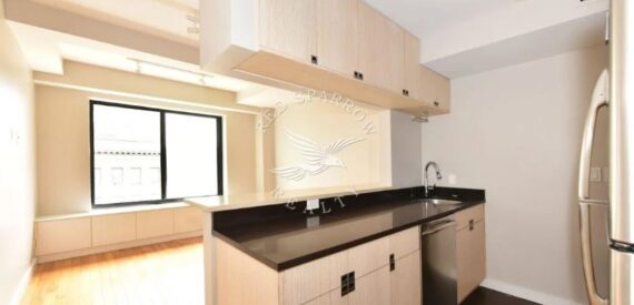 Sixth-Floor Two-Room Studio at The Parc Standard — South Harlem